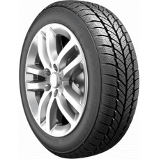 Roadx 195/60R15 88T FROST WH01 RoadX