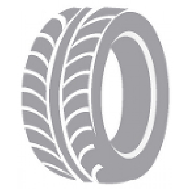 Firemax FM809 205/65R16C 107/105T