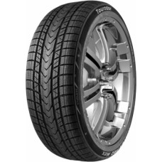 Tourador 255/35R19 TOURADOR WINTER PRO MAX 96W XL Friction CDA68 3PMSF M+S