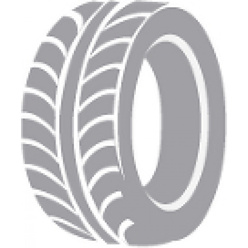 Michelin X LINE ENERGY F AS 385/55R22.5 160K